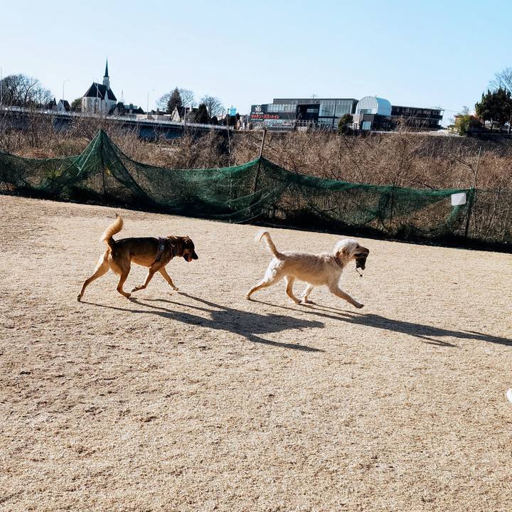 De5fad1a e1b1 45a5 b41e f95bc3923baf 1769823287621