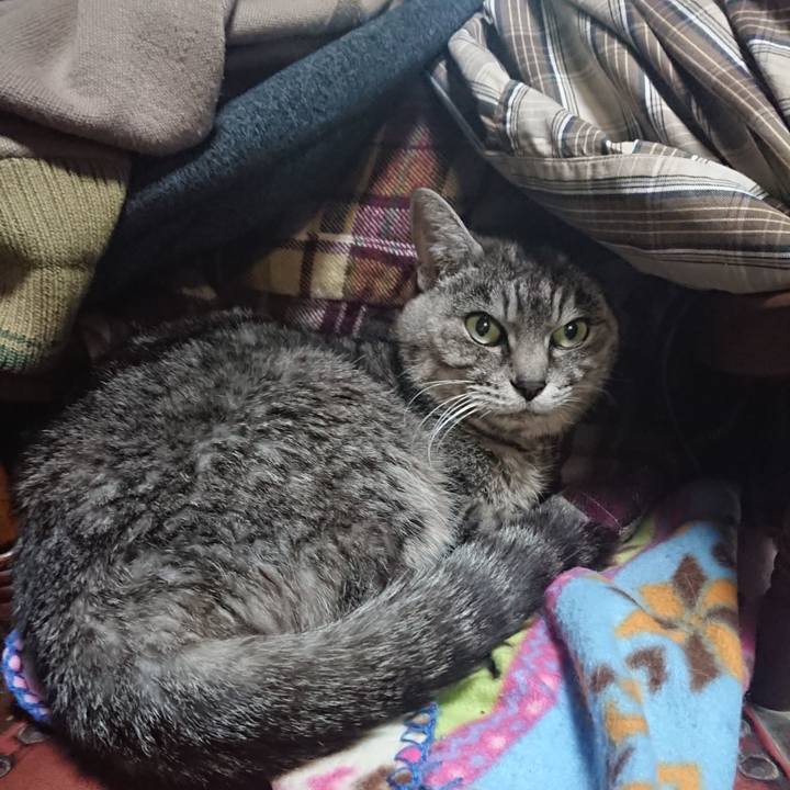 De5fcbd7 c938 4209 bf16 ed38c6b77cbf 1575582650449