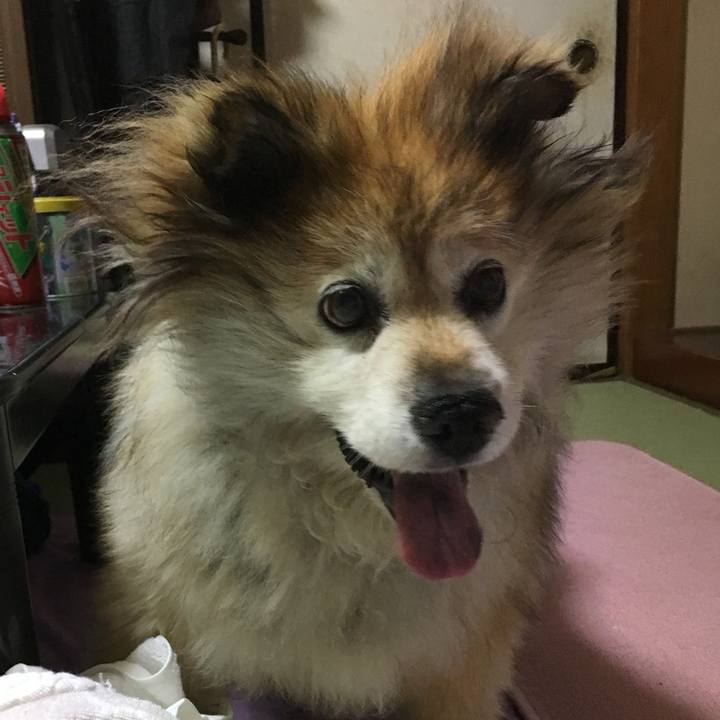 De600643 875e 4fb3 9d9d 673efda9ab1d 1611119992358