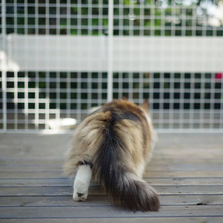 De600879 2766 41cb a486 bda50cf8296d 1674542346559