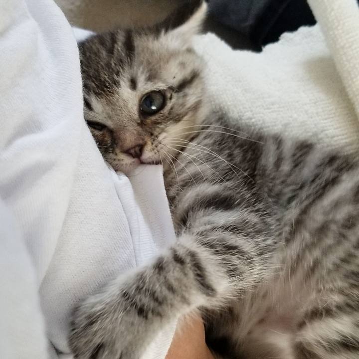 De6011c5 6c35 4ecb 850d a6f43dfd9271 1660834061139