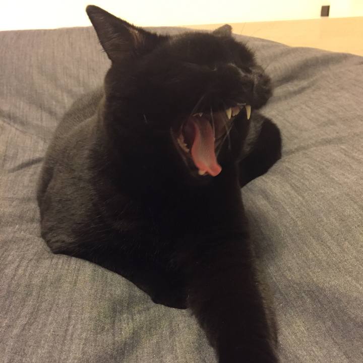 De601bfe a216 4ff4 b8cb df2ea2dcba52 1509368597615