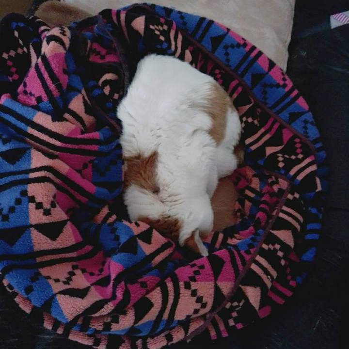 De60284a 31ef 4f44 a023 75b5795fa3b9 1586181717787