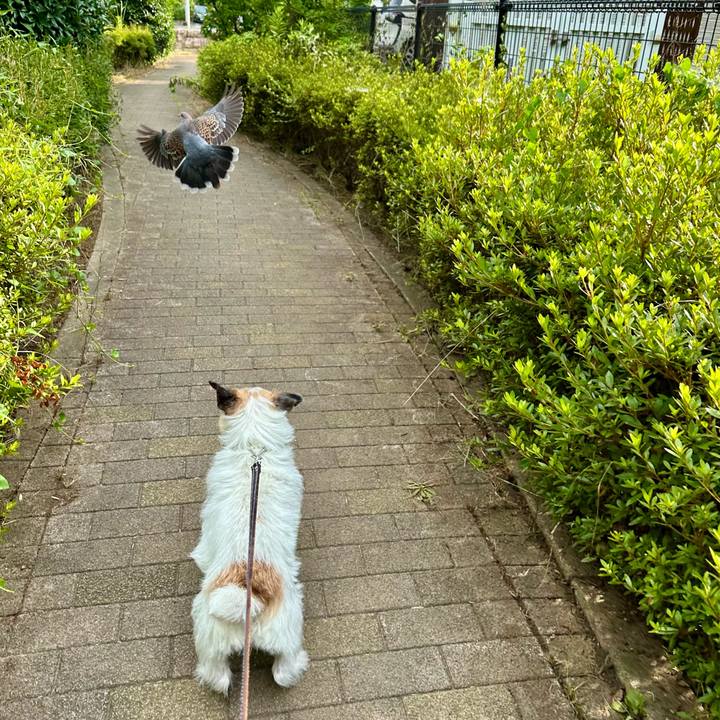 De603667 47b3 4cf2 bc1b 91101ad8e329 1751273008214