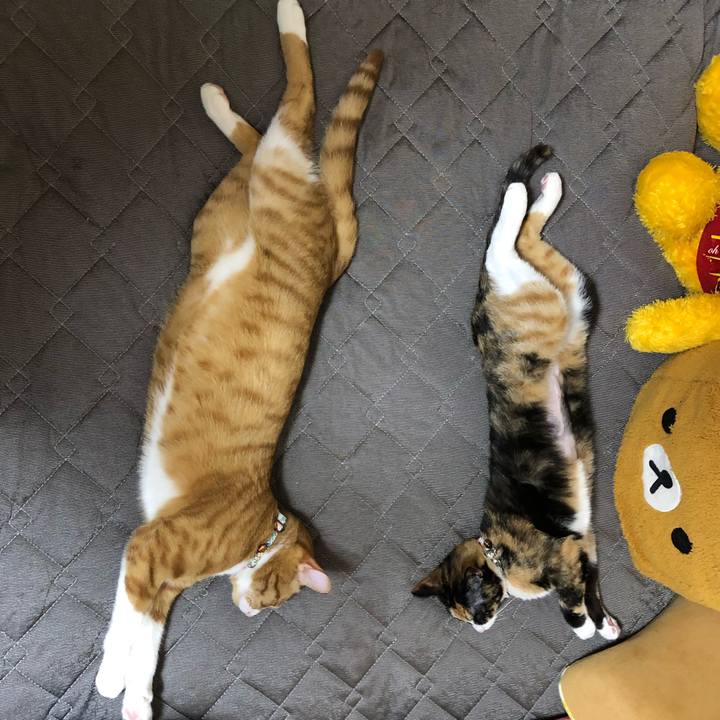 De603bd2 dbc9 4bdd bd99 de70d6f47b56 1563933199698