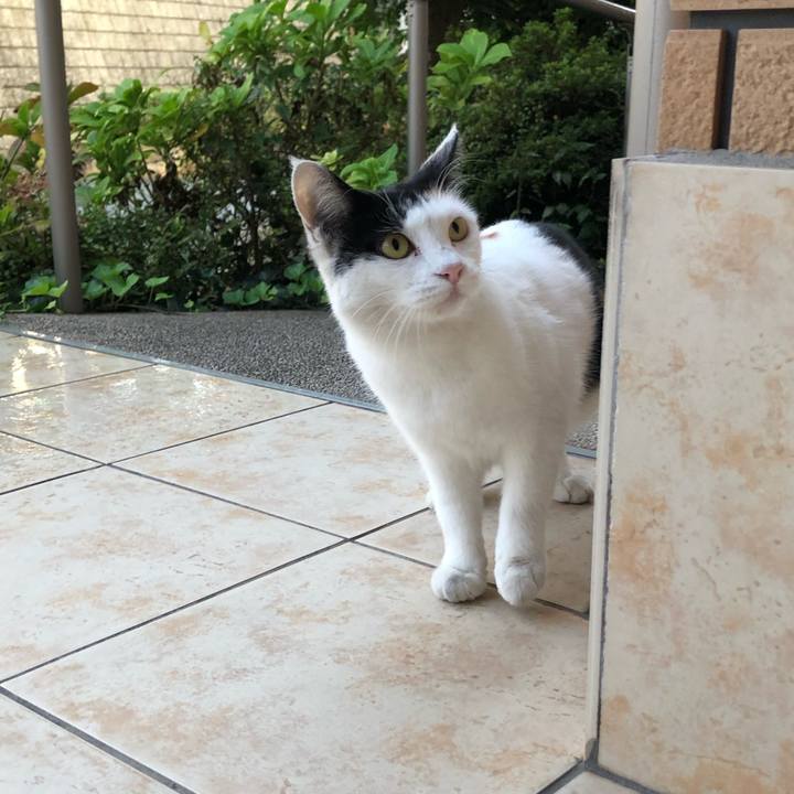 De604a7e a482 4c79 81af 19c91d606fc2 1634680966643