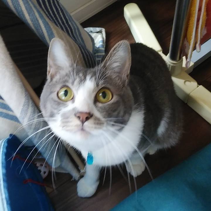 De6073ee 7484 47a1 b45f 649f2b94a5e8 1588900916908