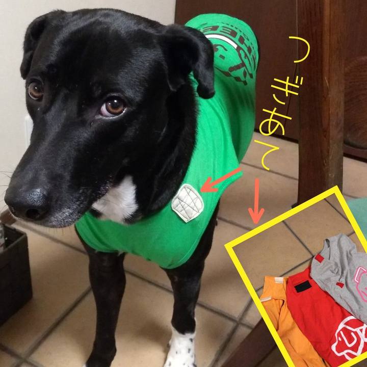 De607f7f 29e8 4a3f 8173 1868cfcf99f6 1615891887225