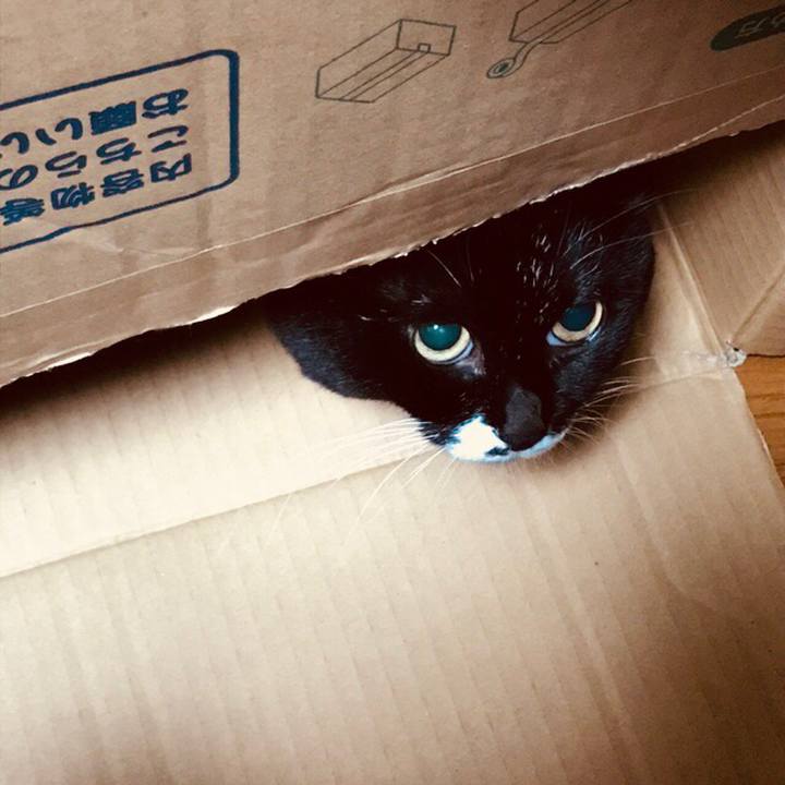 De60afc3 1988 427a ad52 f73cb9f5a394 1511546479856