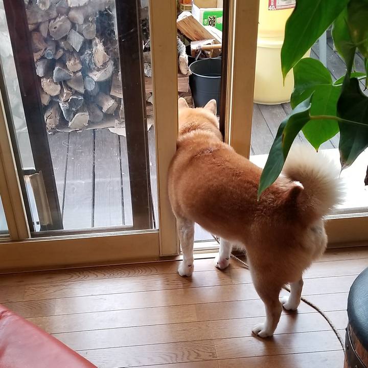 De60cbd9 0afa 4ee3 9b75 02c26547f1b4 1605740833818