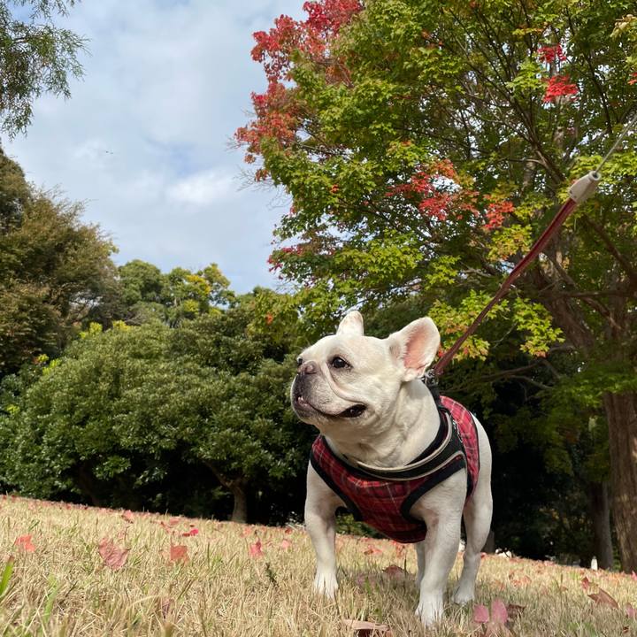 De60f4df a7f0 4d5a a888 4ce26f1b2016 1763074620073