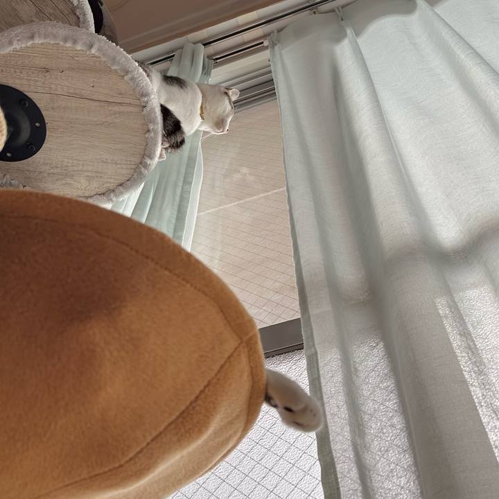 De614ac4 c001 4241 a909 f4138b0081d1 1765082406883