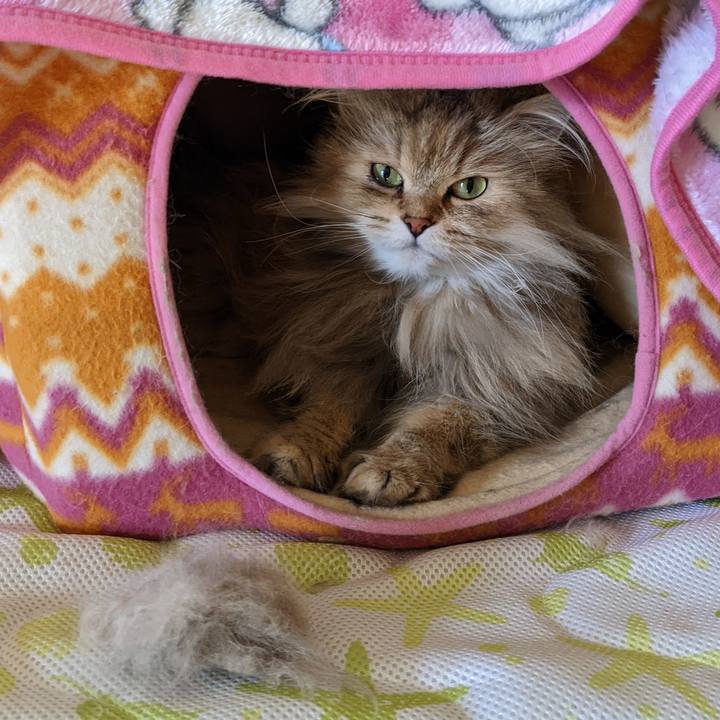 De619b5c a7c1 4a28 bf68 7a20440c76b3 1649426822919