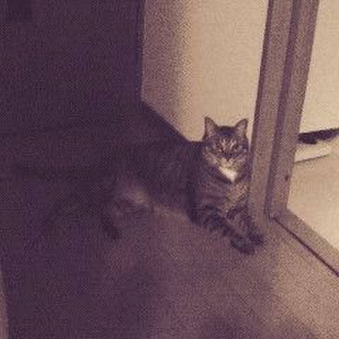 De619e69 049c 45b9 a597 c9e115b40f03 1589674617451