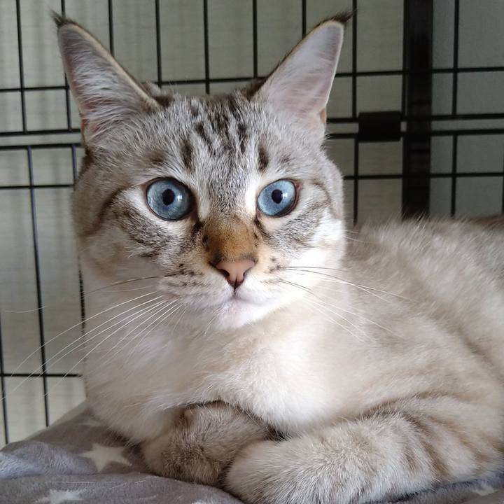 De61e991 a237 46a6 90b2 2700a80d2726 1664582842897