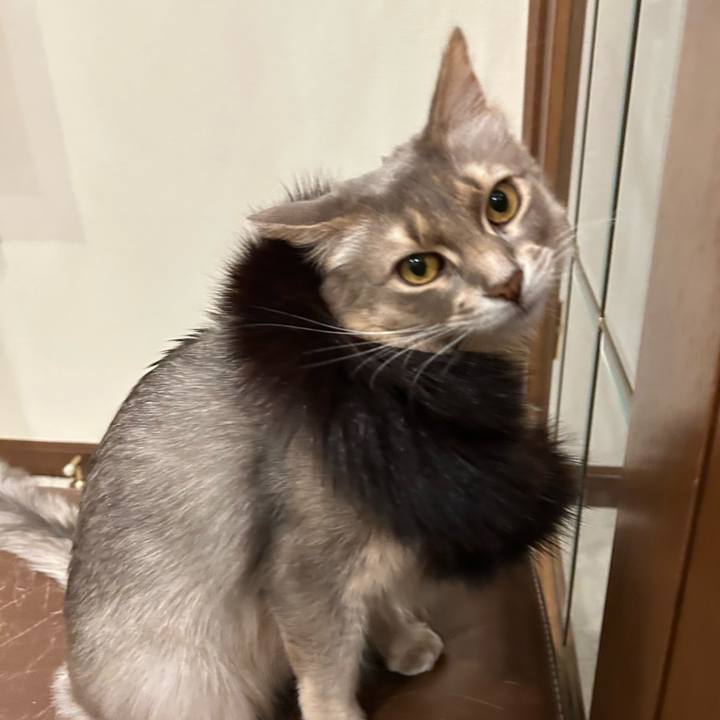 De624778 dab2 43ca ae6b 9f99ba32b448 1765094698502