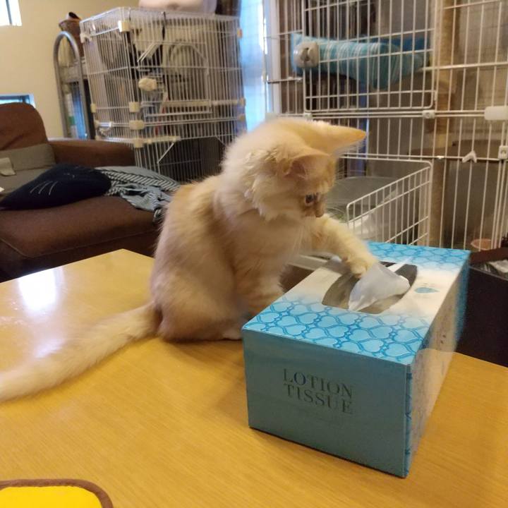 De626cd0 398c 4da8 b3a4 12e739028466 1605562408887