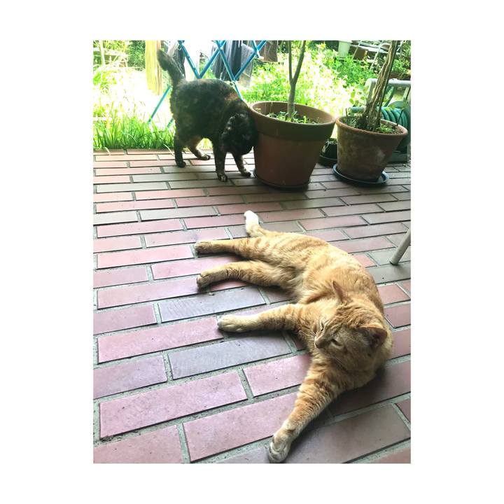 De627de6 8d86 434c ae22 c999522a3b01 1650882309152