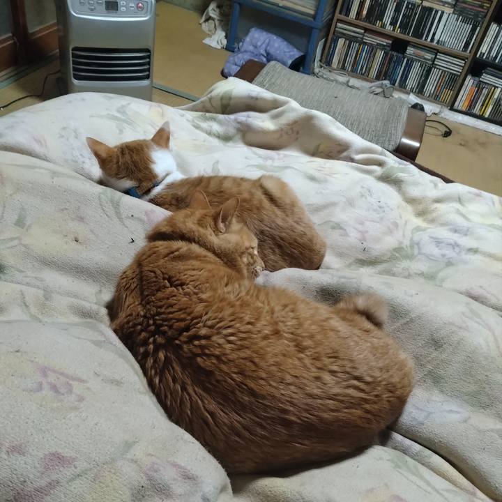 De628ee9 ee45 4442 a0a7 3381e0118244 1735905686173