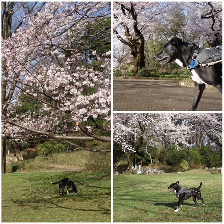 De6290d3 3de3 467b 8f1e d634b01ad399 1648428756838