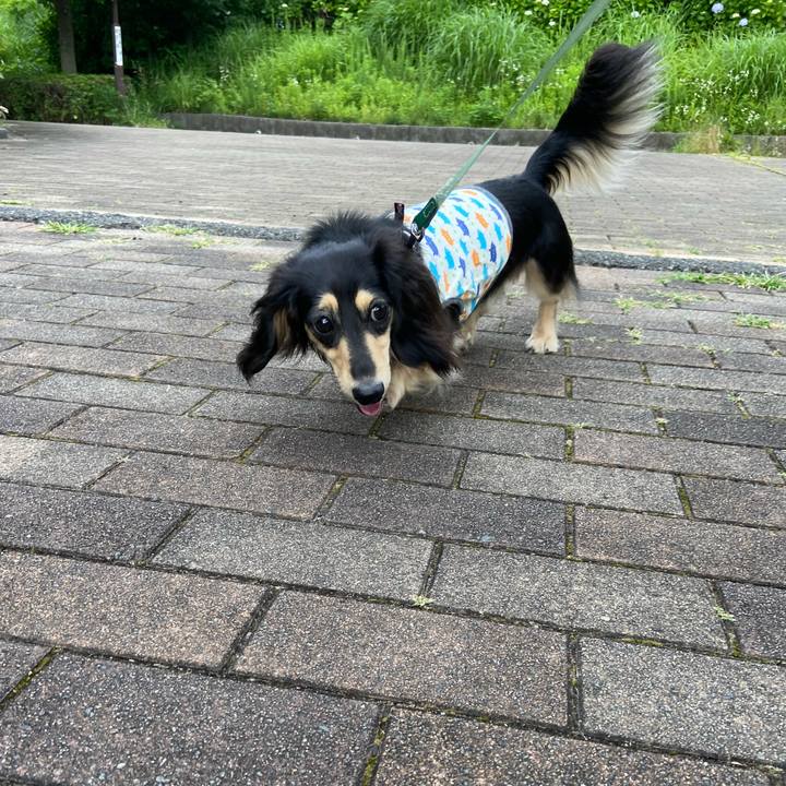 De6295d8 8015 4045 a923 cd20bcee07cd 1718257144143