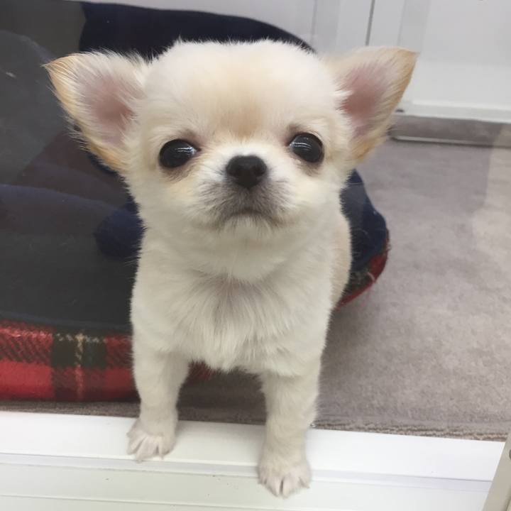 De629692 33ec 4091 af49 d1e5fcb8e636 1552916487494