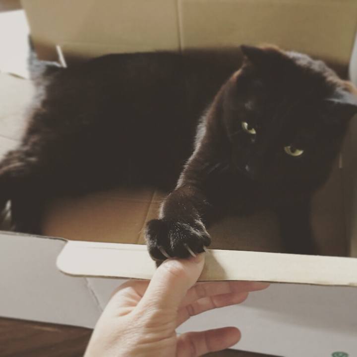 De6310dd 5ca3 4f97 a372 48177d9765ea 1525049475755