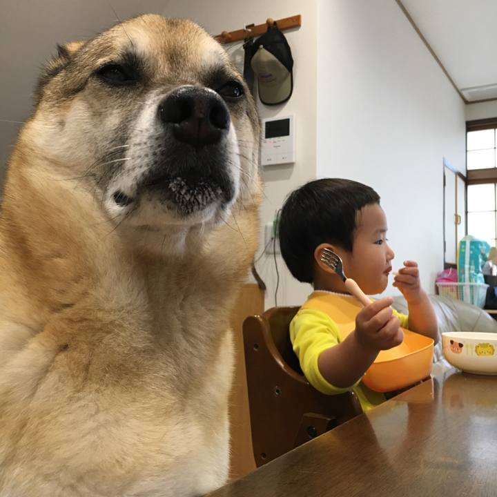 De631ab8 c6ec 4f8d aeba d040588357d2 1529034435748