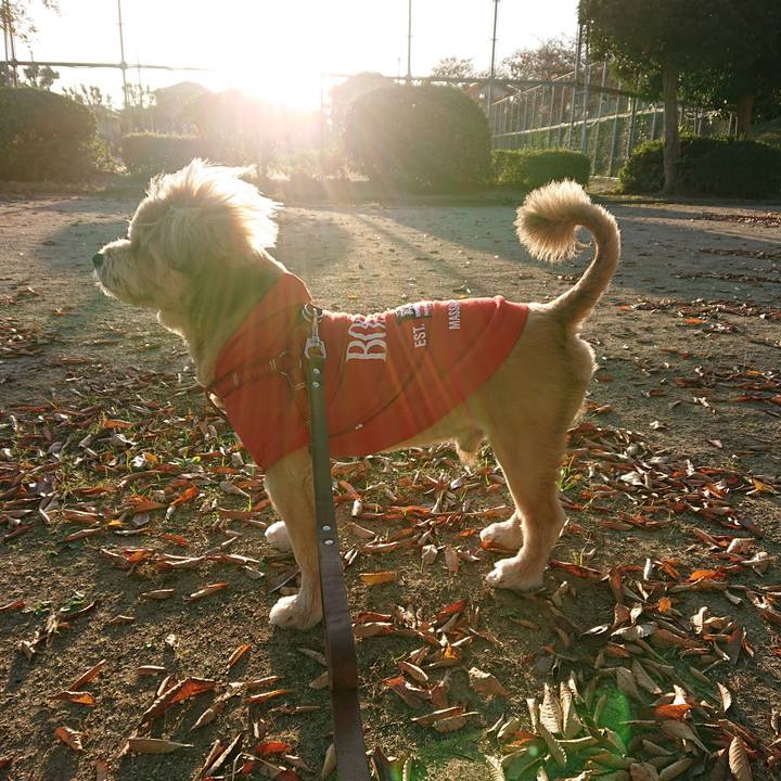 De633c4b 7c8c 49d3 8c6a debb93a3587d 1604879791664