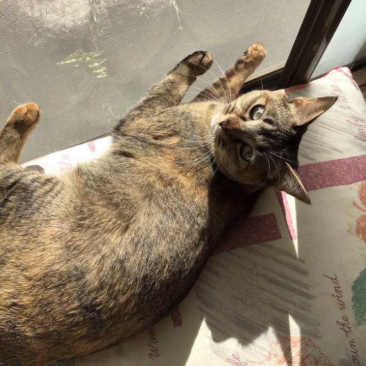 De633f0c e3f9 42b4 b872 c7d9320751e8 1585789608660