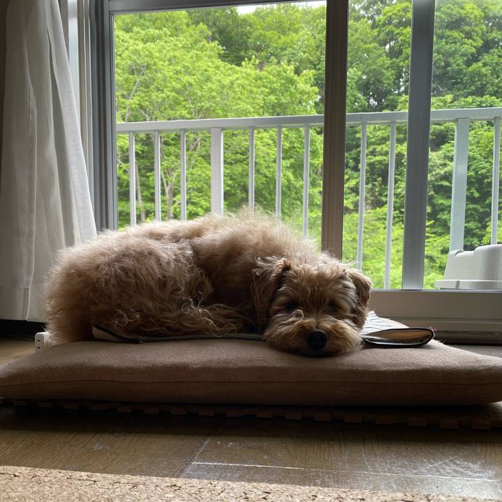 De637efa 6e0c 445e b71e e606ff7554cb 1685660361932