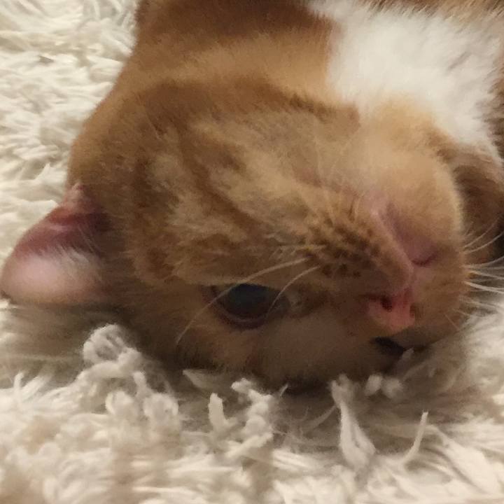 De639ccd b035 47d2 b70b 994cc8246981 1539431035098