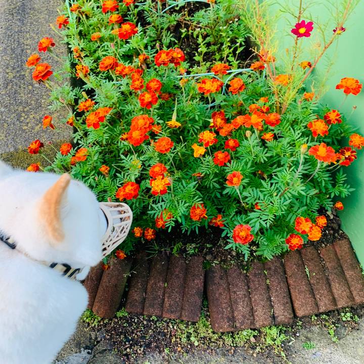 De639d7e 63b4 494f b662 556e6ac5aea7 1600207632106