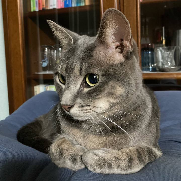 De639fbe 6dd1 4936 bc56 68dce1c7593f 1696176447671