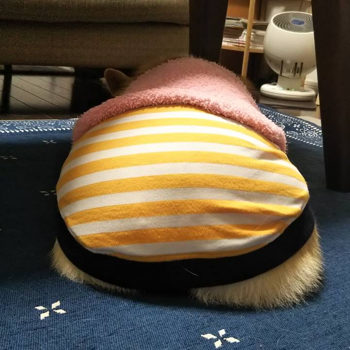 De63a8e8 36d6 437e bdb8 907dacc4b6cc 1550745614675