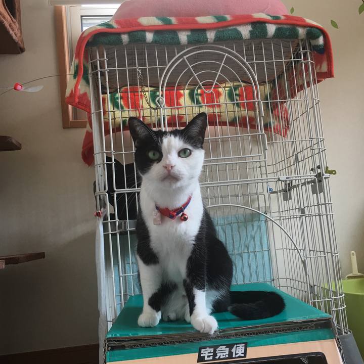 De63dc33 9fe2 4b5b 8405 d075606d569b 1529027540836