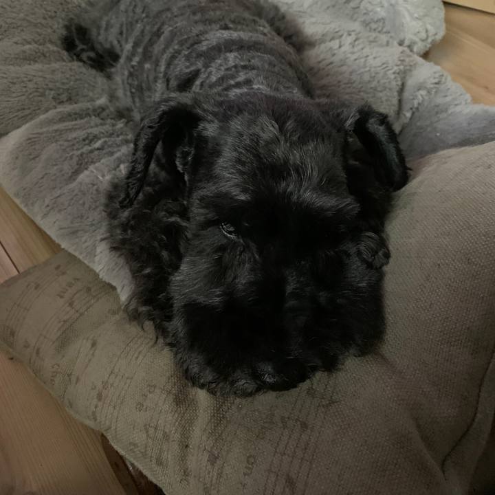 De647064 be4b 4c68 bc8c 4c253c898d67 1628465874615