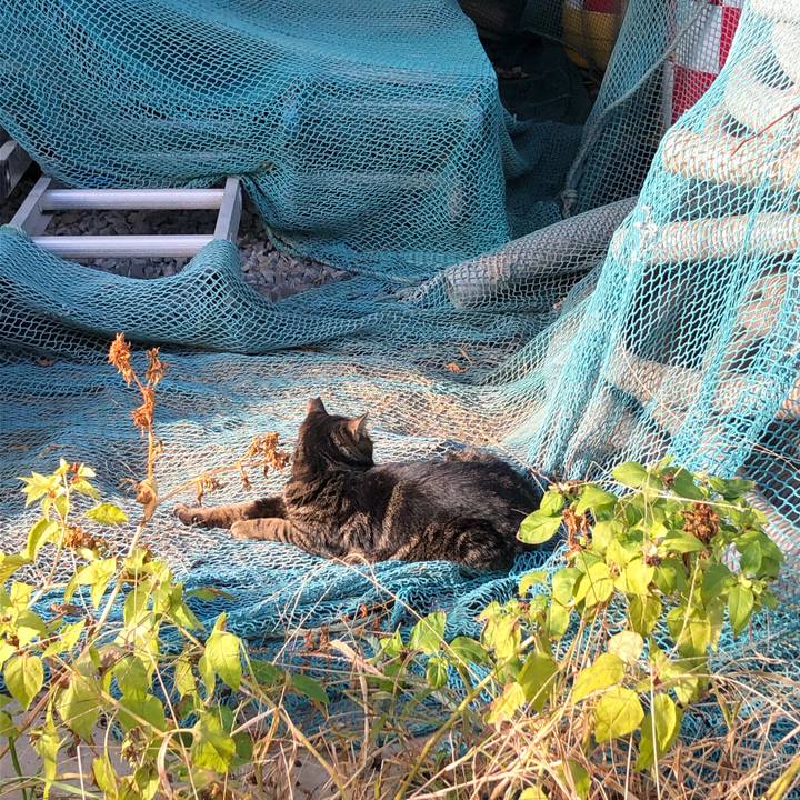 De648fab 9d70 459d 86b5 212b8a30aecb 1580741751687