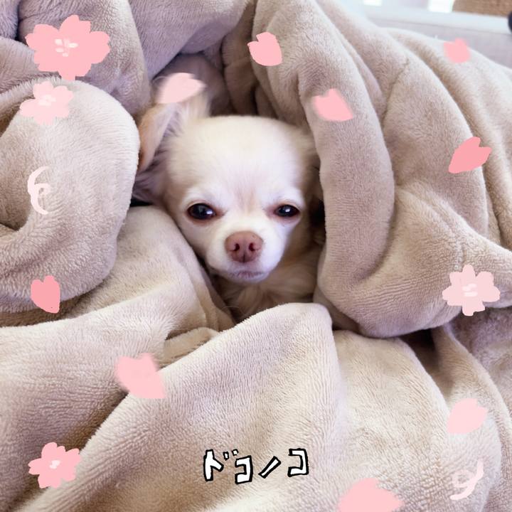 De64a46d ccfe 4ccf 8228 80caf7a9ad6f 1744291664294