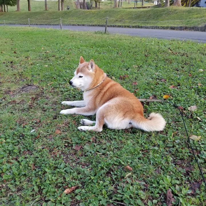 De650c23 06e2 48a0 b688 5fc1e5f21b9a 1665466838337