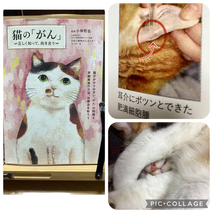 De650f71 9723 4485 8608 c200344dbce0 1733358255941