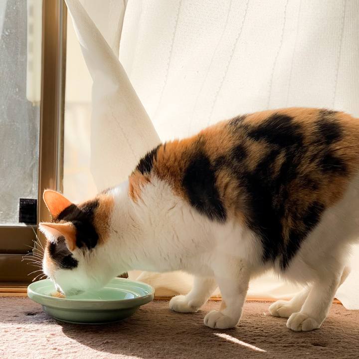 De651ddb 39f3 4969 8a96 946781e6eba9 1583029196148