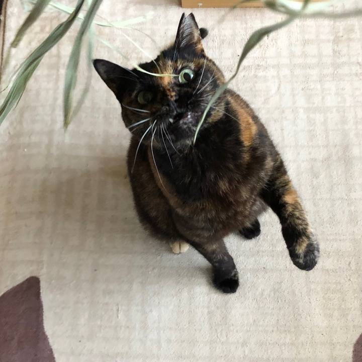 De655627 bed2 4880 bd36 735a2fdb18f1 1649382573160