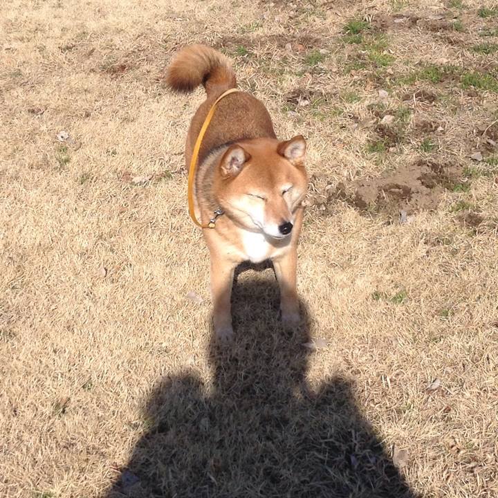 De65611a 2091 44fe b176 2f8fb6705401 1518594464286