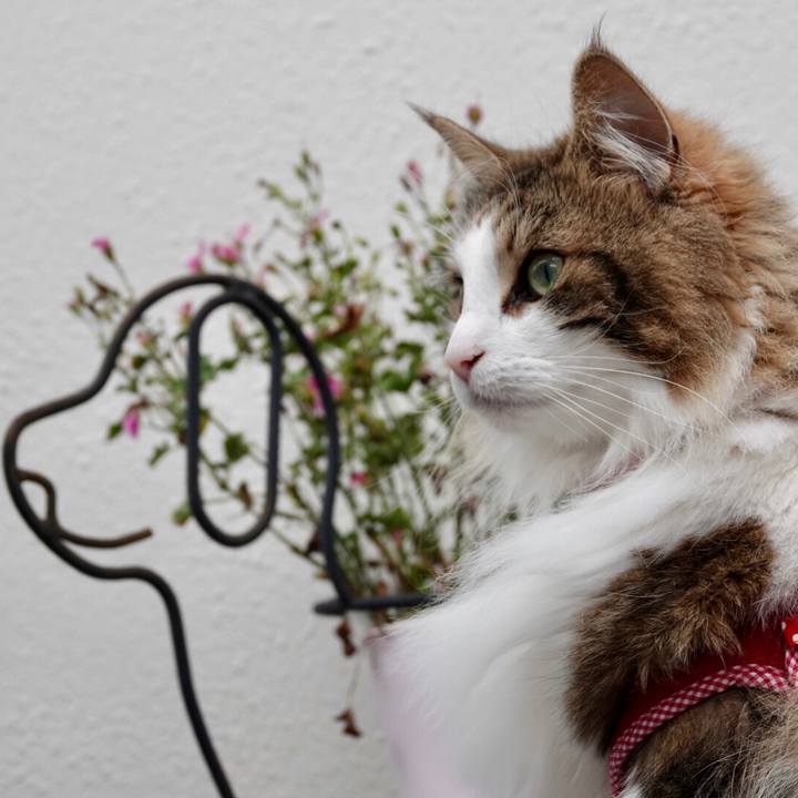 De656575 9cc3 4956 bf41 81febb130380 1560314325265