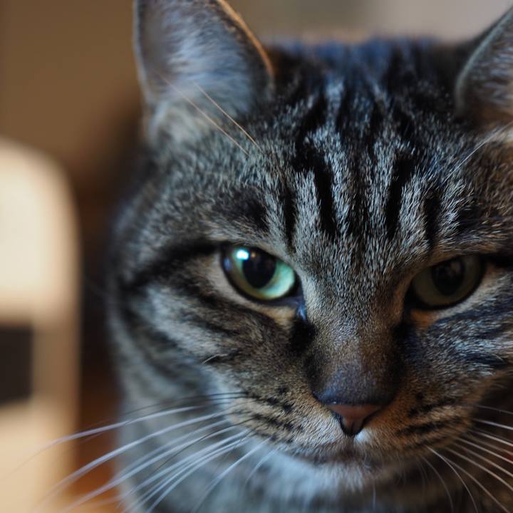 De65972f 7cdc 46d1 ab33 2fc967b7b867 1611147462778