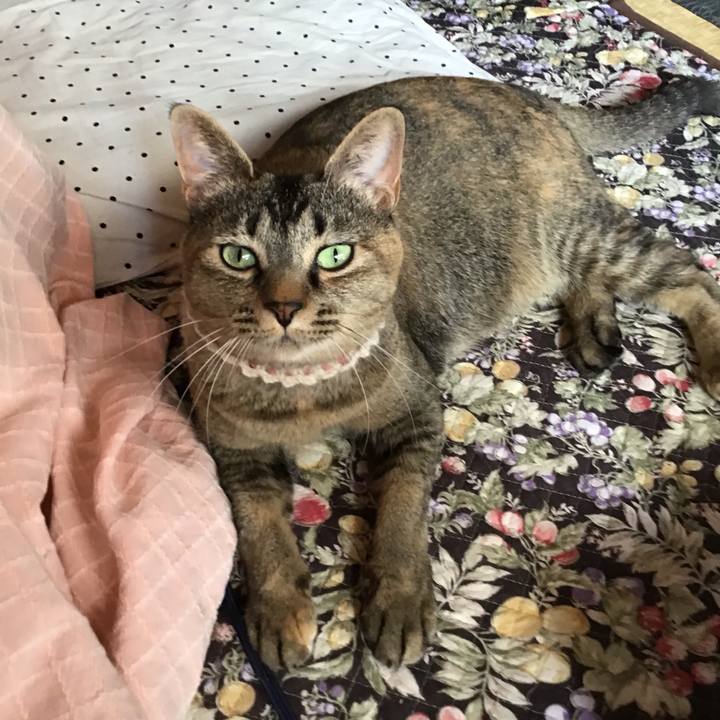 De6605f0 97dd 4698 9c34 b8d4fef3fc09 1654302129837