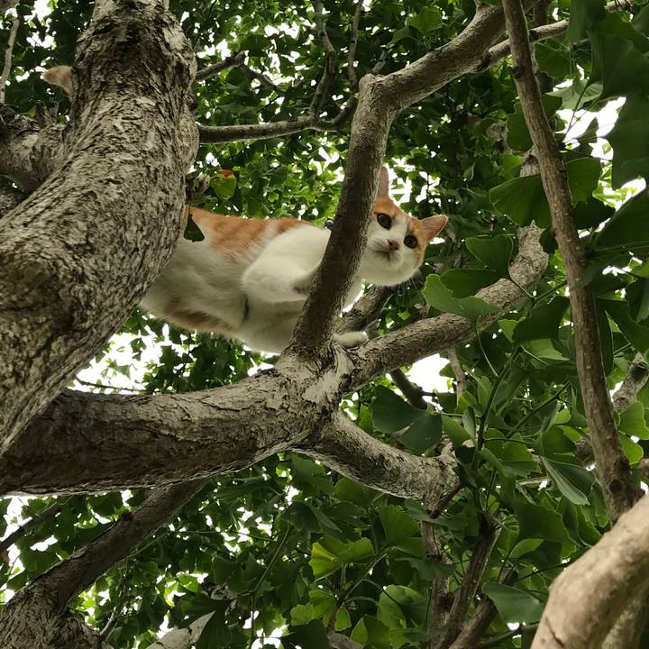 De662542 69d9 42e5 8183 833b20775498 1531640393583