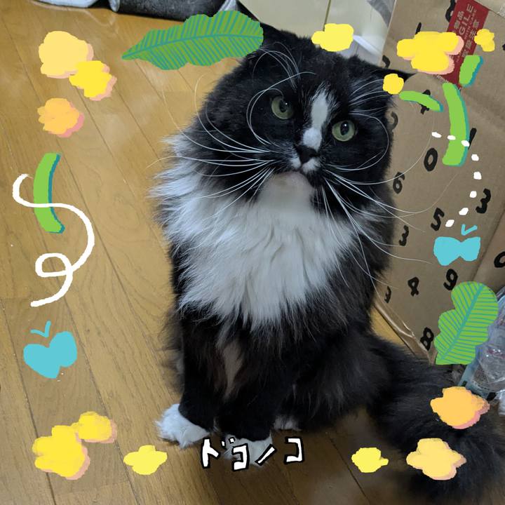 De664165 dcf9 41aa 94f5 bb28a558f0e5 1744630718994