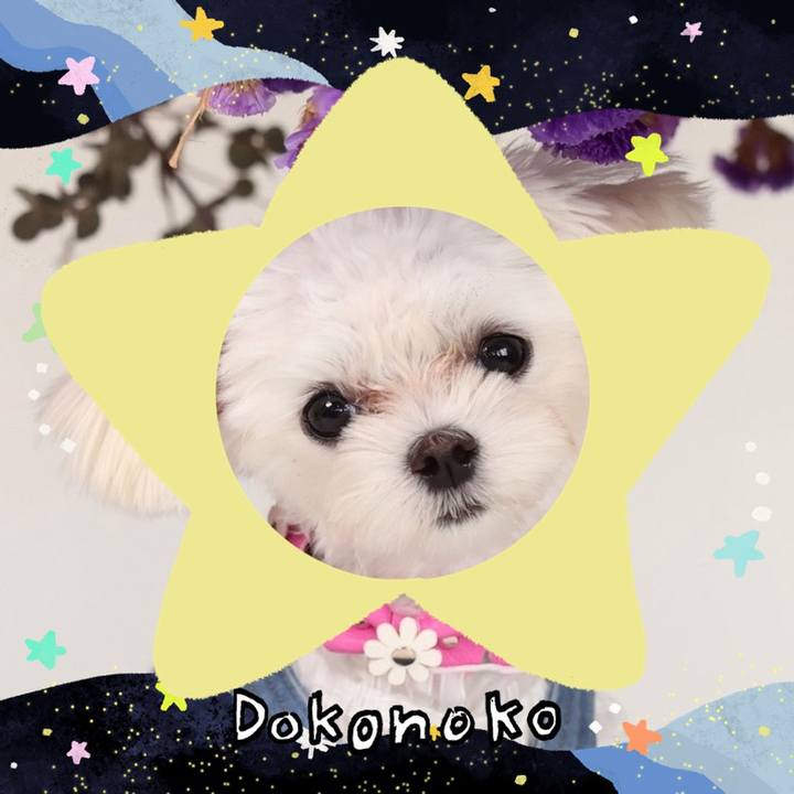 De666627 44aa 4e12 aba6 e289968eed95 1720836160954